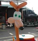 balloon coyote
